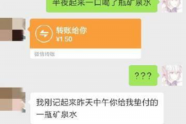 镇安为什么选择专业追讨公司来处理您的债务纠纷？